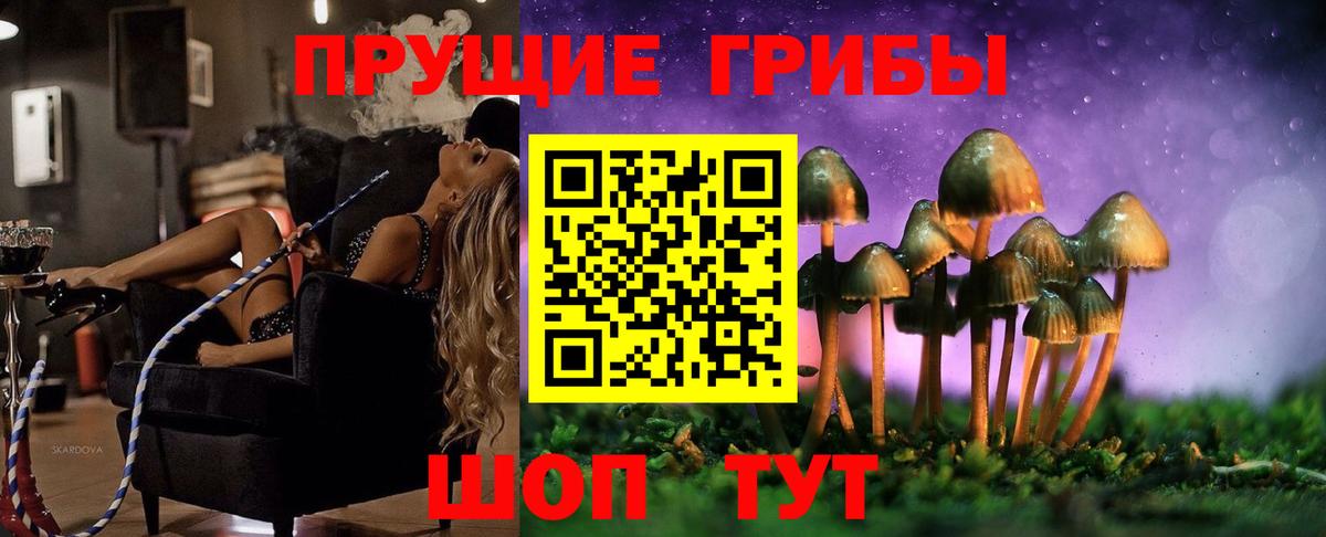 Псилоцибиновые грибы MAGIC MUSHROOMS  Вход с VPN  Фролово 